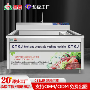 亚马逊热销全自动商用洗菜机气泡蔬菜饭店果蔬清洗机超声波清洗机