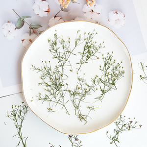 吉普赛满天星霞草干花压花滴胶装饰画标本画团扇杯垫水晶香薰押花