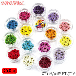 日系美甲干花配饰小梅花指甲饰品碎花真花穿戴甲彩色花瓣材料装饰